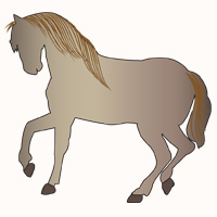 Horse