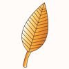 Mallorn Leaf