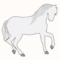 Shadowfax