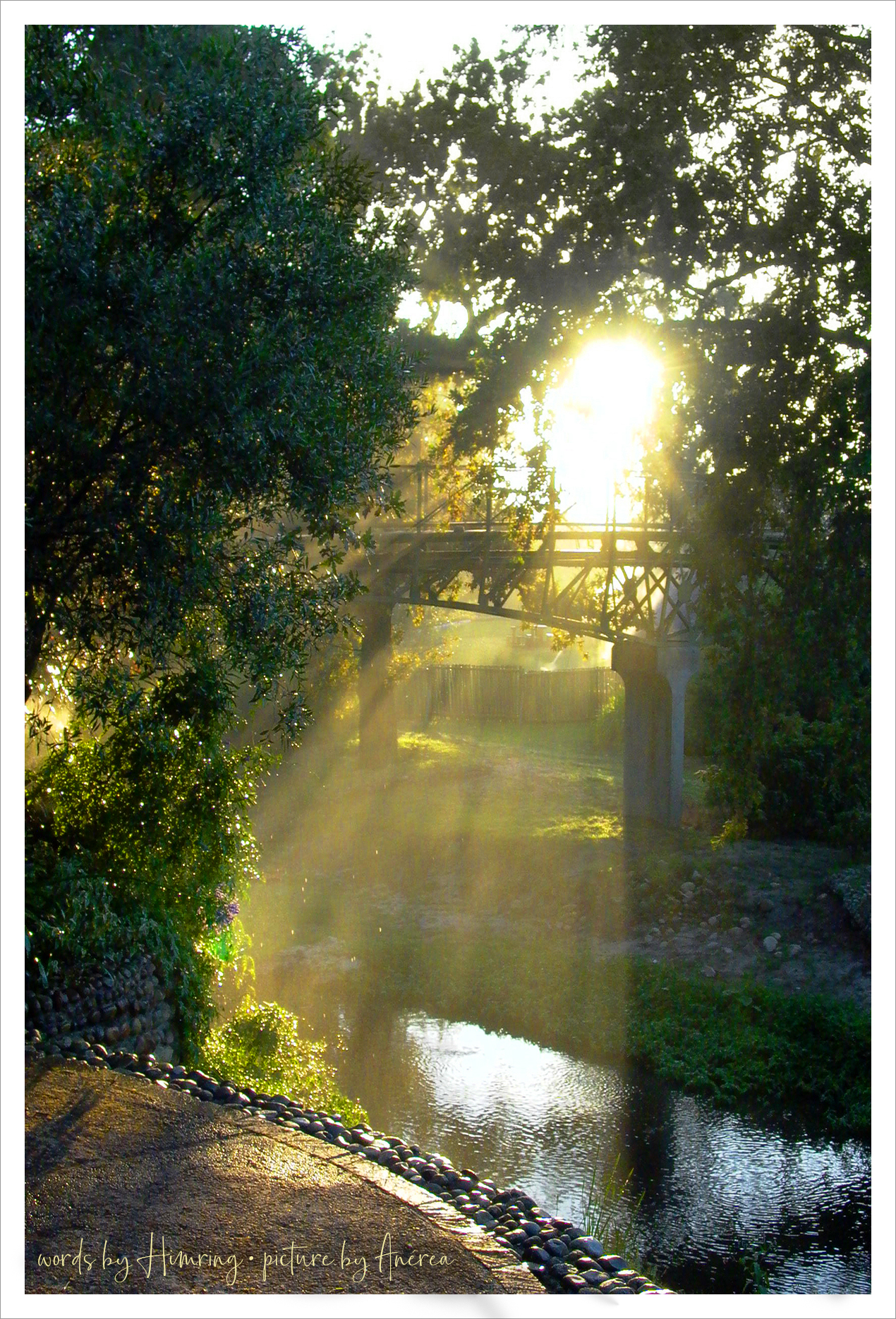 The sun shines through the green leaves of the trees standing over a small river. A bridge can be seen between them.
