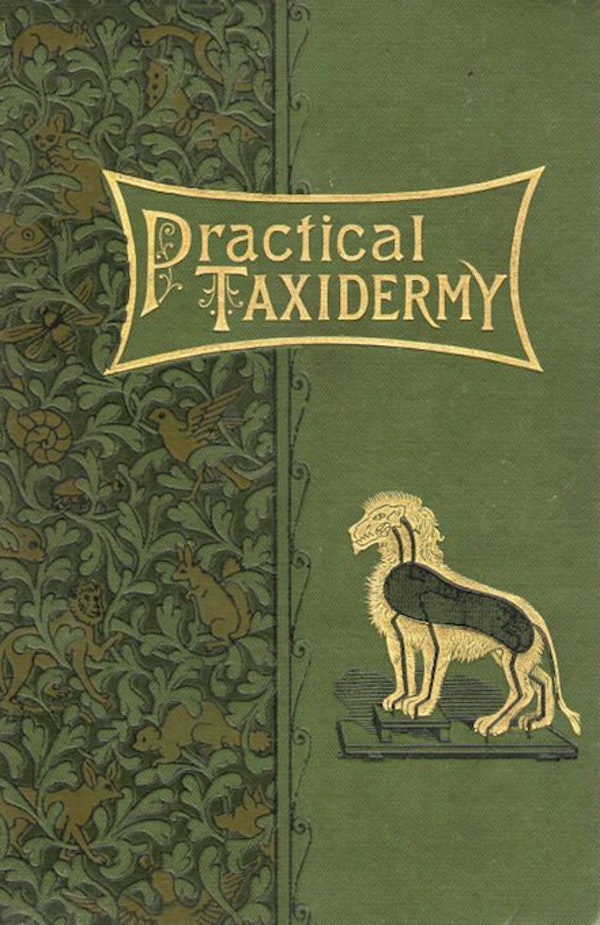 a green book cover with gold ornamentation showing a lion in profile, standing on a low wooden platform, with rudimentary organs shown, and the title Practical Taxidermy
