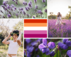 A 5 part collage: Top left: A photograph of lavender flowers. Top right: A brunette woman standing in a field of lavender. Bottom right: a close-up of a lilac bloom. Bottom left: A dark-haired woman wearing a flower crown. In the centre: The lesbian pride flag. 5 horizontal stripes - Red, orange, white, light pink, dark pink