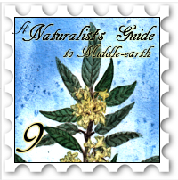 September 2020 Naturalist's Guide to Middle-earth SWG challenge stamp - dark green leaves and yellow flowers on a blue background