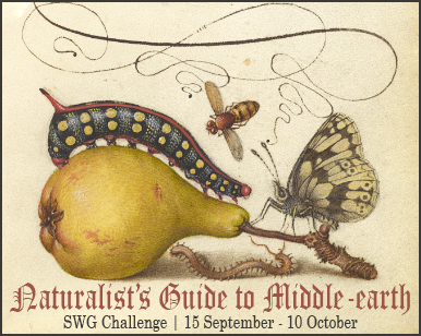 September 2020 SWG challenge Naturalist's Guide to Middle-earth banner shows a pear with insects on it