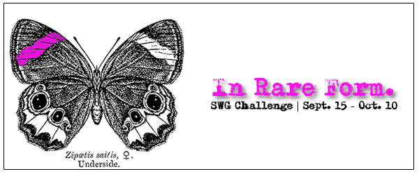 September 2019 SWG challenge In Rare Form banner with a black and white drawing of a butterfly with a magenta stripe on its wing