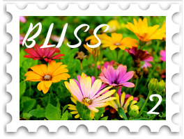 February 2021 Times of Bliss SWG challenge stamp - colorful wildflowers