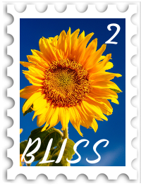 February 2021 Times of Bliss SWG challenge stamp - sunflower