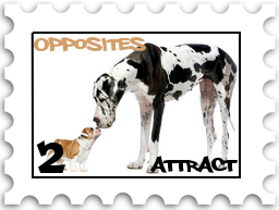 February 2022 SWG Opposites Attract Challenge Commenter stamp - a toy sized brown and white dog nose to nose with a large breed black and white dog