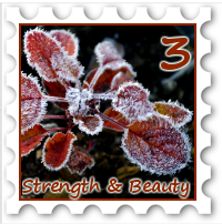 March 2017 Strength and Beautry SWG challenge stamp - Photo of autumn leaves covered in frost against a dark background
