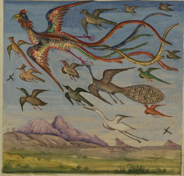 flock of many-colored birds over a green plain with a mountain in the background