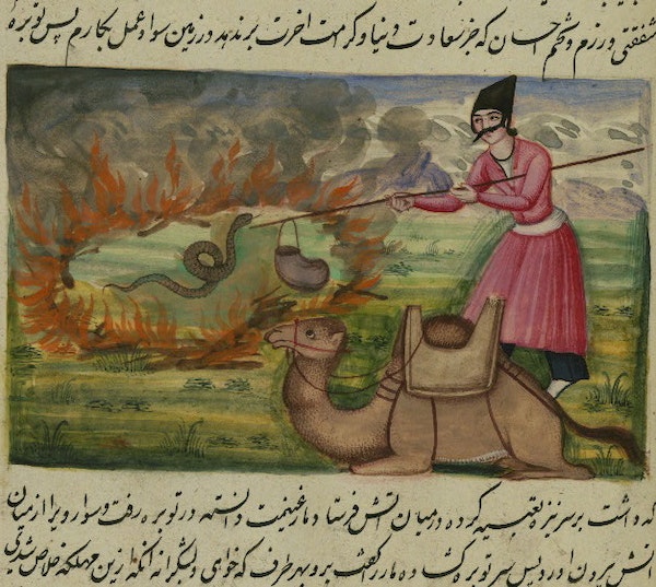 a man wearing pink pokes a snake in a ring of fire while a camel rests beside him