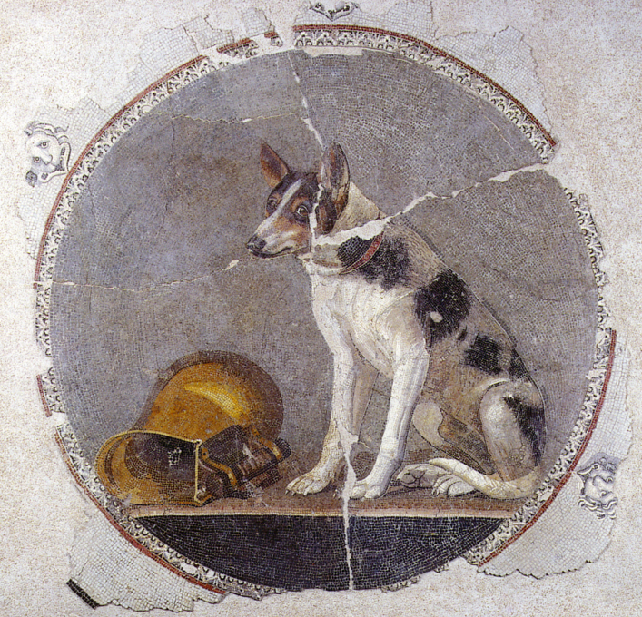 round mosaic of a white dog with brown and black patches