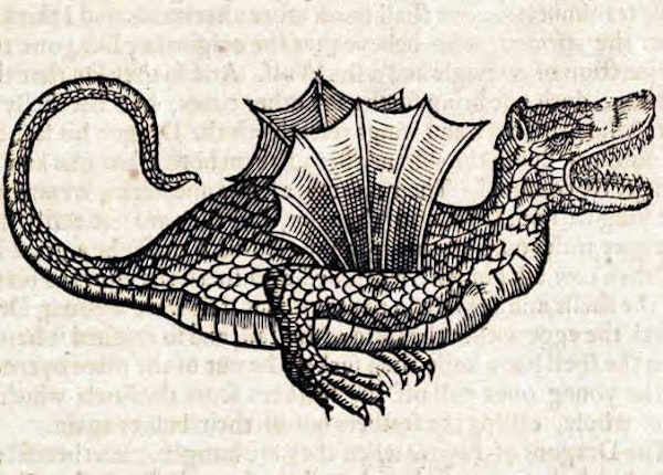 dragon with small wings