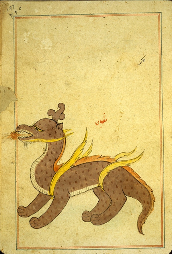 brown spotted wingless dragon with golden tufts of fur