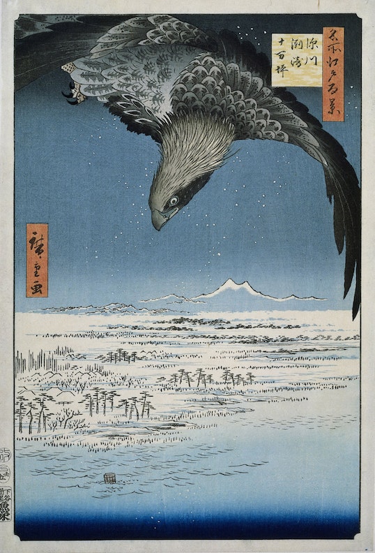 gray hawk looks down over a white landscape, at night, with a mountain in the background