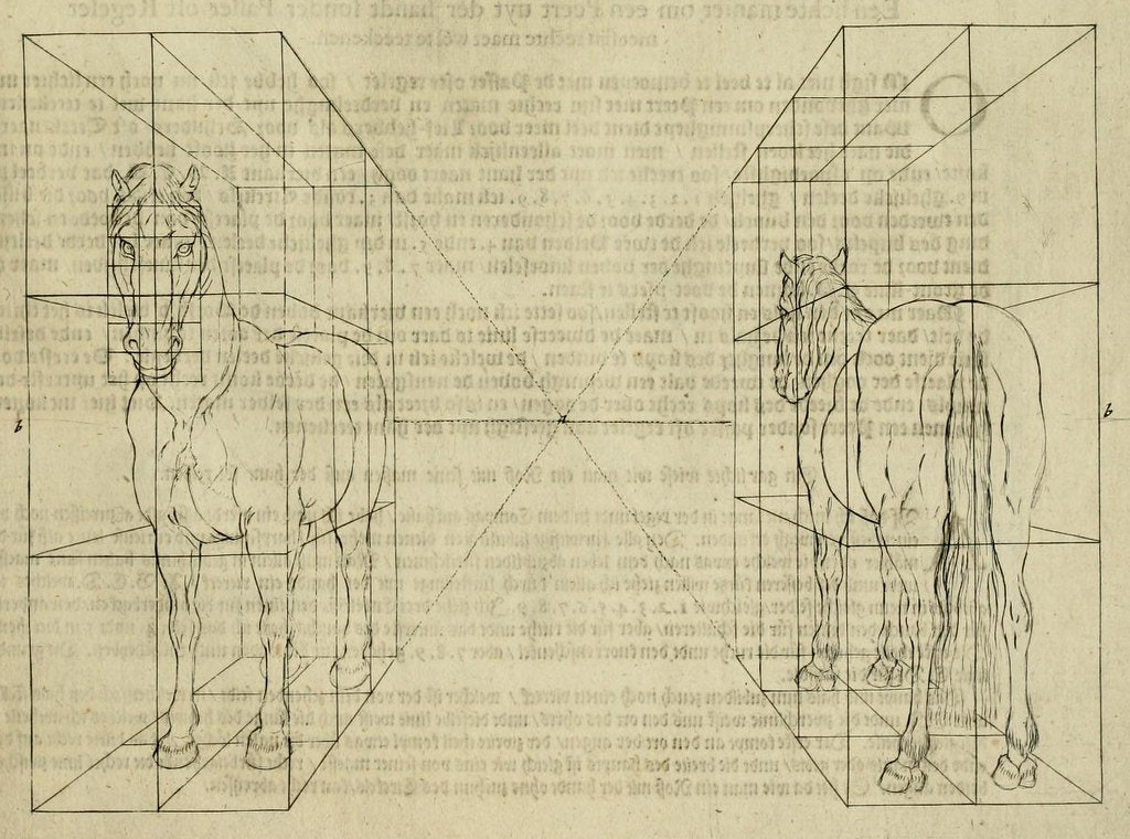 two horses, one facing front and one from the back, with guidelines drawn that make them appear that they are standing inside boxes; the text of the reverse page is faintly visible through the page
