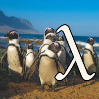 hyarmen tengwa in front of a group of South African penguins on a beach