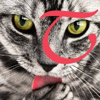 Lambe tengwa in bright pink superimposed on a photo of a monochrome cat licking its paw. The color of the cat's tongue matches the color of the tengwa.