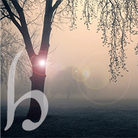 sule tengwa with a tree in the mist and a bright orb on the trunk and surrounding the tree