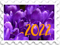January 2025 Jubilee SWG challenge stamp - a closeup photo of a patch of purple crocuses. The number "2022" is at lower right and matches the color of the crocus stigma.