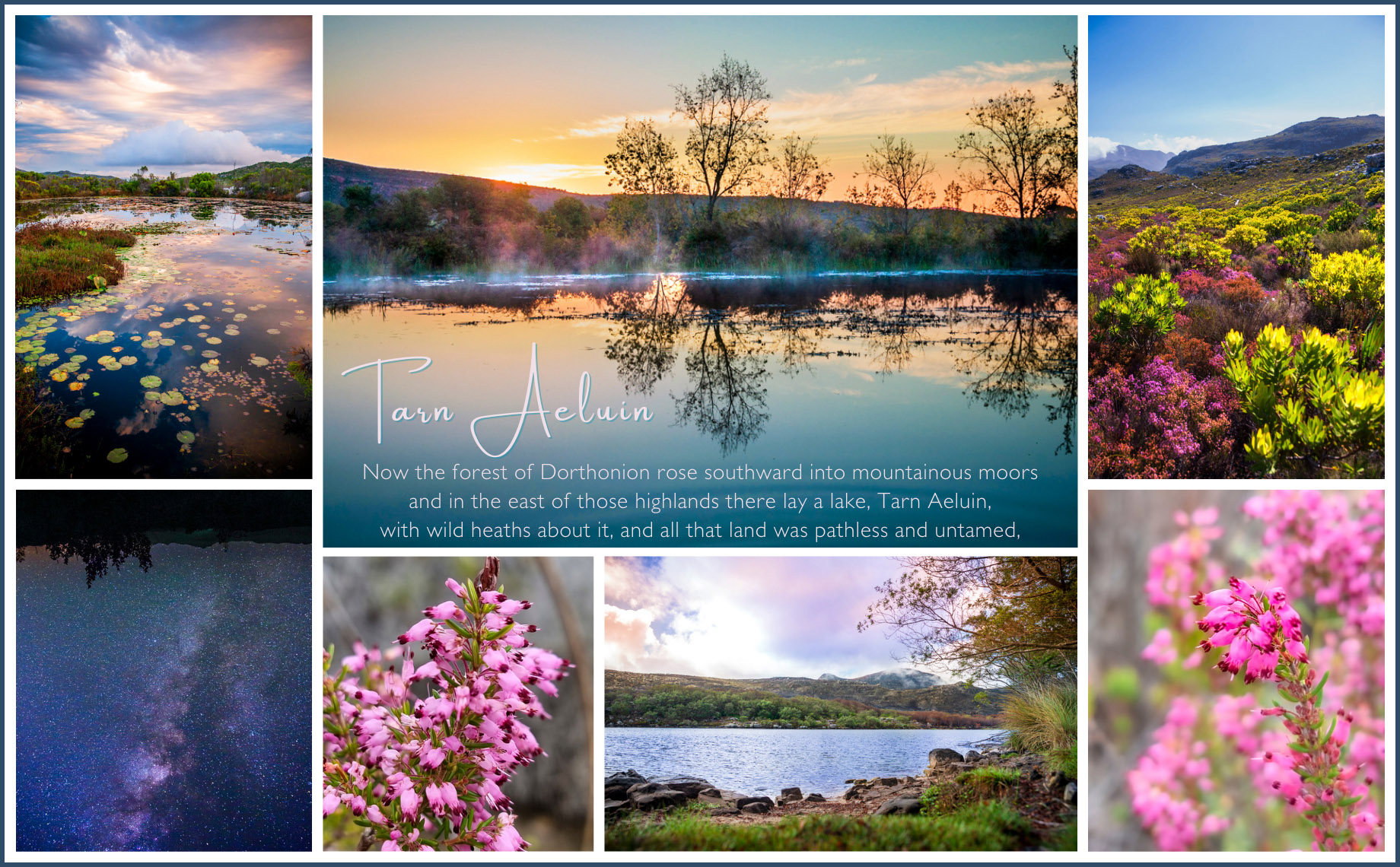 Moodboard with photos of lakes with trees, ponds with lily leaves, flowers, hills covered in heather, stars reflecting in the water