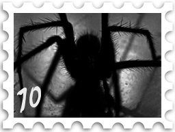 October 2025 The Only Thing To Fear SWG challenge stamp - black and white photo of a backlit spider. It is impossible to tell how large the spider may be.