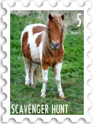 May 2026 Famous Scavenger Hunt SWG challenge  stamp - a color photo of a brown and white Shetland pony standing in brilliantly green grass
