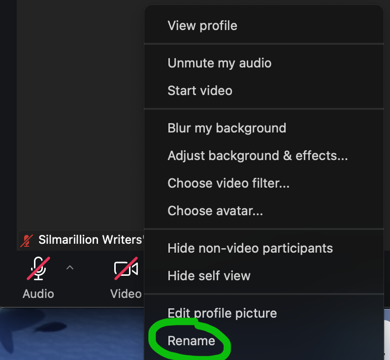 screen capture of Zoom Rename feature