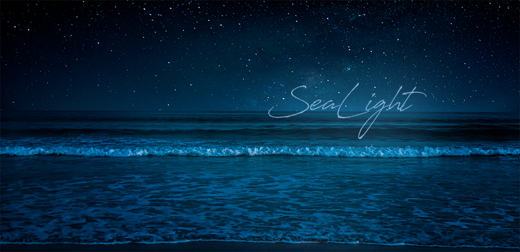 Banner: photo of seashore under stars at night with the title "SeaLight"
