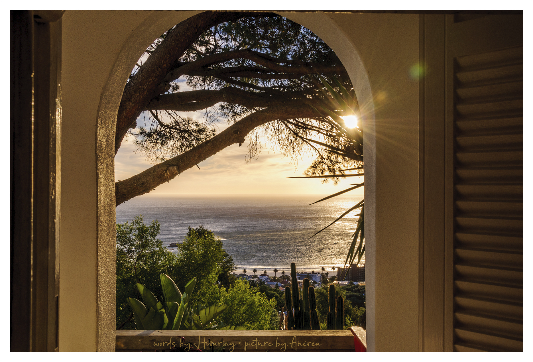 a window opens onto the ocean with the sun peeking through branches overhanging the opening; beyond is greenery leading down to the beach and open water