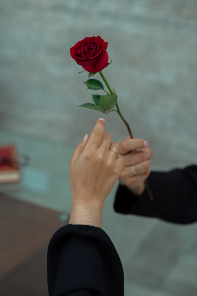 One hand passes a red rose to another hand; both hands are wearing wedding bands