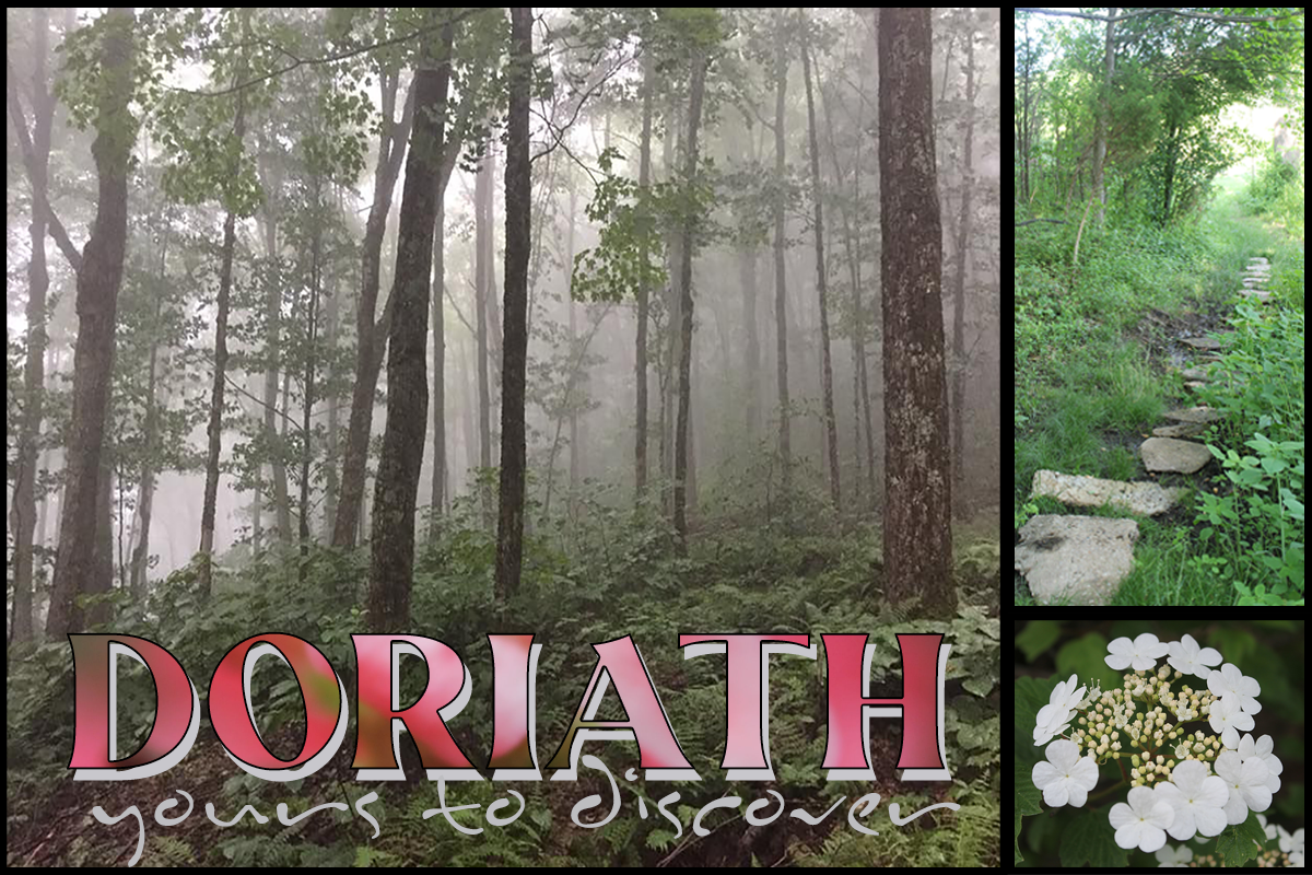 Postcard of Doriath. A forest, a stone path, a white flower. Text reads: Doriath, yours to discover