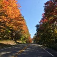 A two lane road toward the top of a mountain with fall deciduous trees to either side.