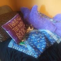 My cat Dusty tucked in my baby blanket on my bed curled up between my giant purple stuffed dragon and a pillow that says "I have too many books"