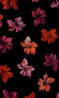 Flowers in lesbian pride lag colours (red, orange and pink) on a black background