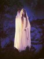 a picture of Galadriel from The Lord of the Rings: The Fellowship of the Ring. It is a screencap of the scene where she is saying farewell to the Fellowship. She is standing on a river-bank, raising up her right arm. she is draped in flowing white clothing, including wearing a white hood. The photo has been slightly edited to appear more with a purple hue than it appears in the movie.  