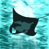 Digital art of a manta ray viewed from below