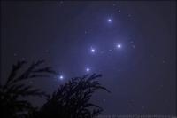 The constellation sometimes known as Cassiopeia in the night sky, with a tree branch in the bottom corner that appears to be cedar.  The air is very misty, making the stars glow with a faint bluish-purple haze. 