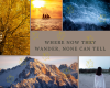 A collage of 5 images in a C-shape around a beige text box which reads "Where Now They Wander None Can Tell". Starting with the upper end of the C, the first photograph is a bird's eye view of a dark blue ocean with rough waves. The second is a sail boat against a golden sky. The third is a shot of a tree crown with golden leaves. The fourth is a sunlit mountain range. The fifth is a woman with dark hair, dressed in white clothes on a beach during daylight.