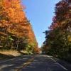 A two lane road toward the top of a mountain with fall deciduous trees to either side.
