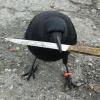 a bird with a knife